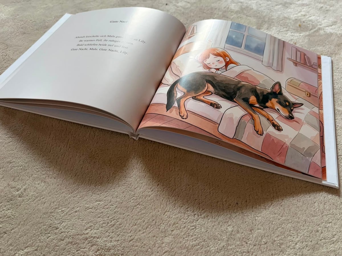 Das gedruckte Buch aufgeschlagen: links der Text, rechts eine ganzseitige Illustration.